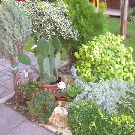 Apartman Da Debbie *