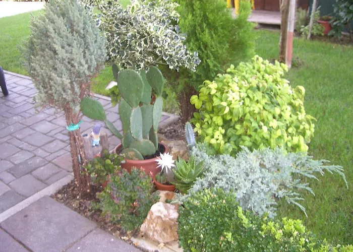 Apartman Da Debbie *