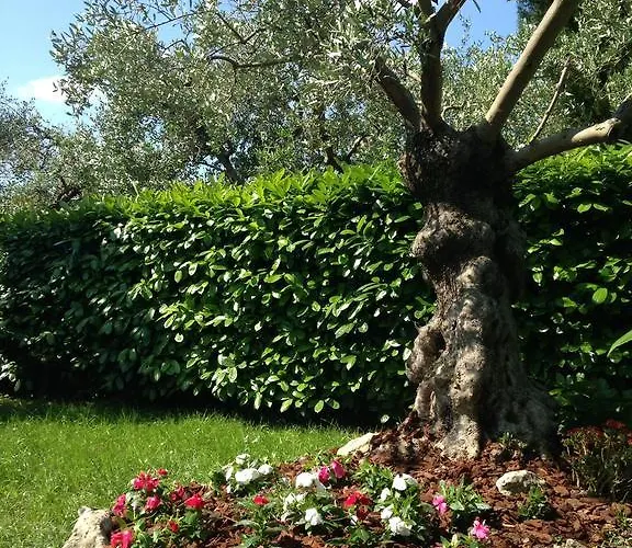 Апартаменты Da Debbie *